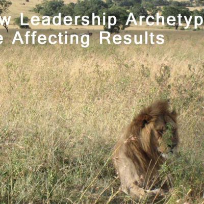 Leadership Archetypes