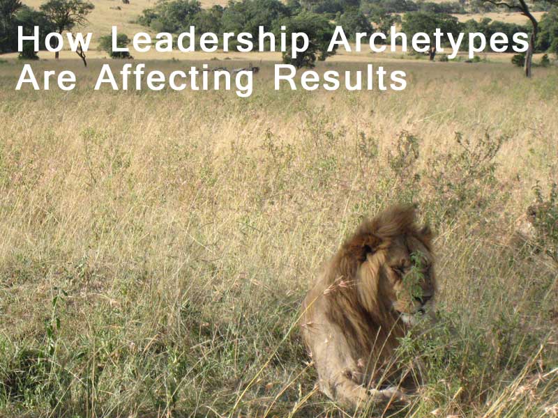 Leadership Archetypes