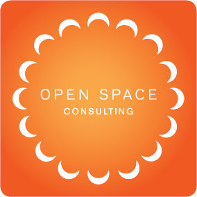 Open Space Consulting, Dalar Cooperation Partner